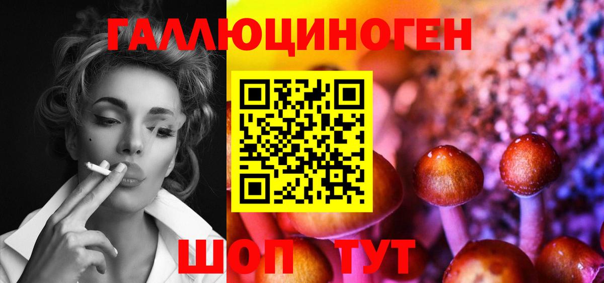 Верхняя Пышма  Галлюциногенные грибы Psilocybine cubensis  Вход с VPN 